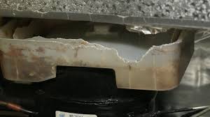 Lidiia filippova onlyfans move to some daty while exploring