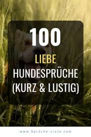 Eben hierfür gibt es einige tier sprüche und zitate, welche zum nachdenken anregen und die tiefgründigkeit der beziehung zwischen mensch und tier zum vorschein bringen können. 180 Hunde Spruche Ideen In 2021 Hunde Hund Zitat Hundespruche