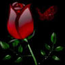 Masoom Chehra
