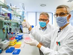 Apr 01, 2020 · a coronavirus is a common virus that causes an infection in your nose, sinuses, or upper throat. Medizinische Hochschule Hannover Corona News From Mhh