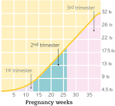 Welcome To Your Second Trimester Part 20