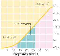 welcome to your second trimester part 20