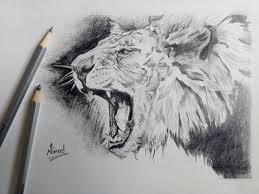 The animals are listed in alphabetical order. Do Realistic Drawing Of Any Animal By Ninad Dahake Fiverr