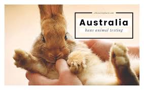 Australia Bans Animal Testing For Cosmetics By 2018 Animal Testing Animals Vegan Animals