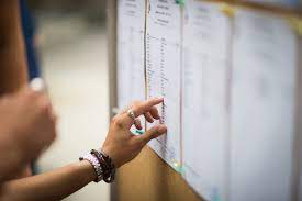 Resultats Bac 2019 Ou Quand Et Comment Les Consulter