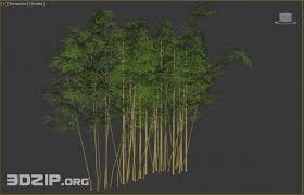 3d Bamboo Model 1 Free Download Bamboo Free Download Model