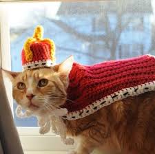 Legendog cat bandana for cats, princess cat costumes for cats, cute lace dog bandanas and cat crown accessories for cats small dogs, pink outfit for birthday party. Best Cat Halloween Costumes 2020 22 Creative Cat Halloween Costume Ideas