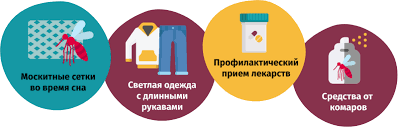 Малярия: профилактика и лечение