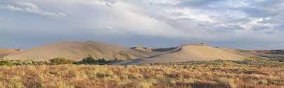 We did not find results for: Bruneau Dunes State Park Department Of Parks And Recreation