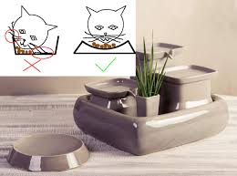Bytiffany lo 22:58, 20 mar 2019 jose nino, 29, a mexican national, was arrested near the. Customisation Of Your Ceramic Cat Water Fountain