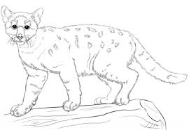 Cistern goed water gratis vectorafbeelding op pixabay. 38 Kleurplaat Babyfles Images Fath My Id