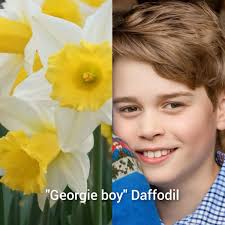 Daffodil named after young royal heir unveiled