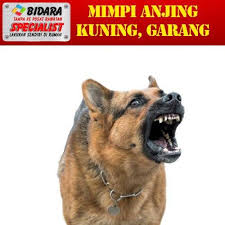 Jika kamu memakai komputer, jangan lupa gunakan. Mimpi Anjing Kuning 1 Tanda Bila Terkena Sihir