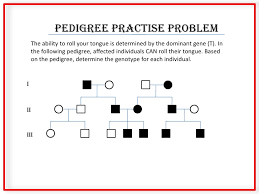 Pedigree Basics