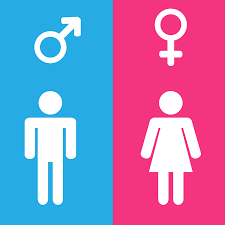 Перевод слова gender, американское и британское произношение, транскрипция, словосочетания, однокоренные слова, примеры использования. Support Women S And Gender Studies At Your Institution Gale Blog Library Educator News K12 Academic Public