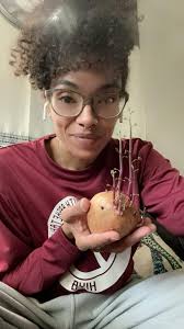 Best practices for growing sweet potatoes