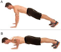 Image result for Push UP