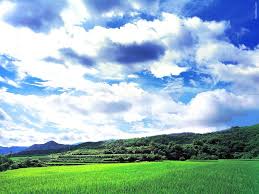 Gratis untuk komersial tidak perlu kredit bebas hak cipta. 25 Gambar Langit Biru Yang Indah Gambar Pemandangan Keren