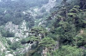 Der tài shān ( chinesisch 泰山, pinyin tài shān) ist ein berg in der volksrepublik china. Tai Shan China Weltreisen Essays Im Austria Forum