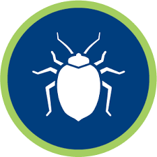 Your partner in pest control since 2003. Brasures Pest Control Coastal Maryland And Delaware