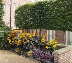 Gartengestaltung Fur Kleine Garten Ideen Bilder Beispiele Gartengestaltung Familiengarten Garten