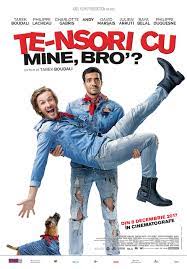 Marinette pare a fi o elevă de liceu oarecare, dar nu este nici pe departe aşa. Epouse Moi Mon Pote Te Nsori Cu Mine Bro 2017 Film Cinemagia Ro
