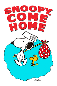Snoopy, Come Home | Rotten Tomatoes