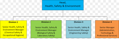 organizational chart text png download 974 318 free