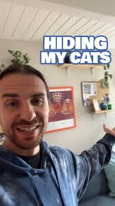 Hide the cats! The landlord's comin'! #comedy #catsofinstagram #funny #cats 