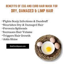Add the curd and the lemon juice and mix them well. Try This Egg And Curd Hair Mask For Dry Damaged Limp Hair