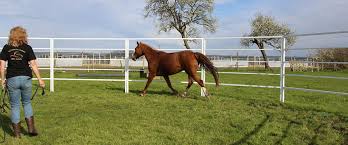 Nothing could be further from what we do. Round Pen Company Natural Horsemanship Training Pens Horse Corral