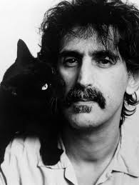 My awesome cat Frank Zappa....for obvious reasons he was named that....  Probably it was the pigtails 😜 😻