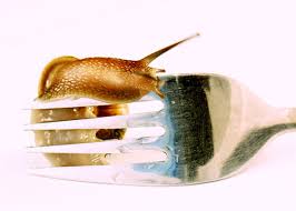 Check spelling or type a new query. Eating Garden Snails Green Living Ideas