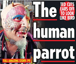 The human parrot