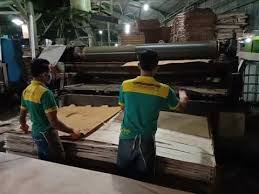 Supplier distributor triplek / plywood / multiplek pt. Seorang Karyawan Pabrik Plywood Triplek Menemukan Hal Aneh Di Dalam Lapisan Ku Unit Glue Spreader Youtube