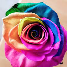 Jul 03, 2021 · summer: Rainbow Florist Home Facebook