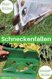 Schneckenfalle Pflanzen Gegen Schnecken Nacktschnecken Schnecken