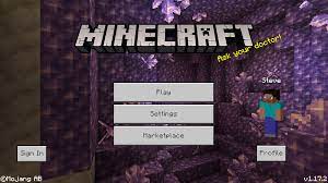 Prior to the better together update, they had various captions on every stage, including pocket edition (for every single portable stage), windows 10 edition, gear vr edition, and fire tv edition. Bedrock Edition 1 17 2 Minecraft Wiki