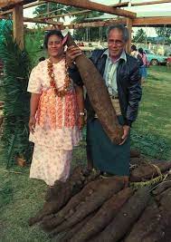 1 overview of tongan cuisine history 2 preparation 3 tongan food traditions and festivals 4 tongan pride in their traditional foods it is considered that the tongan region has been inhabited since the 5th century bc. A Yam Is A Yam I Always Thought The Potato Like Vegetable With Bright Orange Flesh Could Be Referred To As Either A Ya Yams Vs Sweet Potatoes Yams Tongan Food