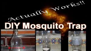 Mix the solution well and apply this homemade mosquito spray on your legs and arms. Homemade Mosquito Repellent What You Need To Stay Mosquito Safe Eco Peanut