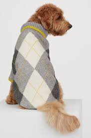 Hundepullover Dunkelgrau Naturweiss Ladies H M At 3 Hunde Pullover Hundepullover Hundekleidung