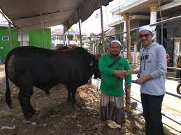 Lihat juga resep kothokan ikan klotok enak lainnya. Kantor Berita Kalimantan Bukan Berita Biasa Halaman 112