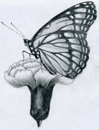 Art Beautiful Easy Nature Pencil Drawings Creative Ideas Easy techniques for drawing people, animals, flowers and nature. art beautiful easy nature pencil