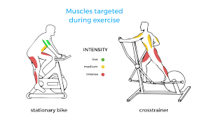 Maybe you would like to learn more about one of these? What Muscles Does A Cross Trainer Work