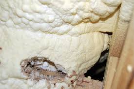 This document is developed as a resource for professional contractors in the spray polyurethane foam insulation, and professional pest management fields primarily, and for other audiences secondarily. Foam Friend Or Foe Termites Foam Termite Control