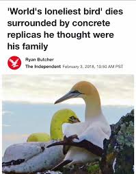 Pin By Absurdist Memer On Absurdist Memes For Nihilist Dreams Funny Pictures Best Memes Memes