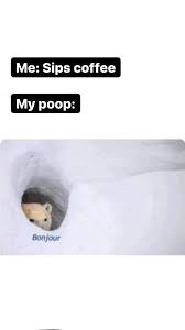 Pin On Memes