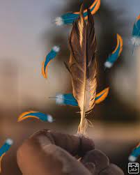 ㅤㅤ مهما كنت طيبا لن تنجو من ظنون الناس السيئة ㅤ by t 98 ㅤ 1 لترشيحها كصورة الاسبوع بتعليق منفصل 10 2 التقييم مـن 5 ـــــــــــــــــــــــــــ ㅤㅤㅤㅤ