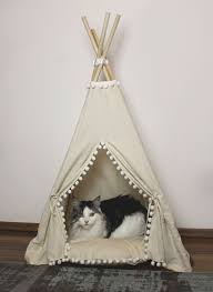 Check spelling or type a new query. Diy Cat Teepee I Built A Teepee For My Cat Inspired By Minicamplt Http Etsy Me 2yvhium Cat Diy Teepee Catinterior Pet Teepee Cat Teepee Diy Teepee