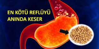 Bu Kur Ile Reflunuzu Iyilestirin Reflu Metabolik Diyet Dogal